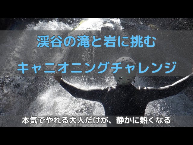 ワイルドウインド