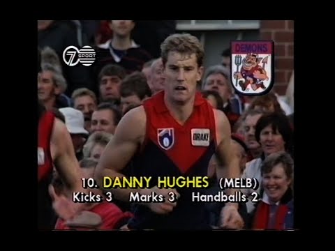 1990 AFL - Essendon v Melbourne - Round 16 - Windy Hill