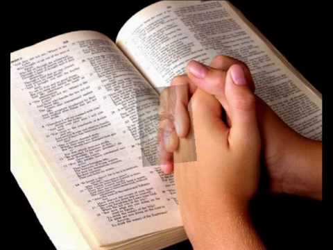 COLISÃO - ALINE BRASIL