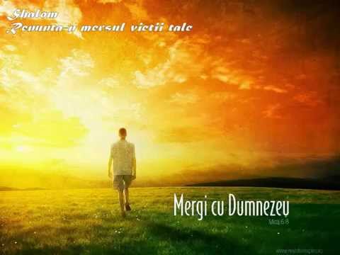 Shalom - Renunta-n mersul vieti tale