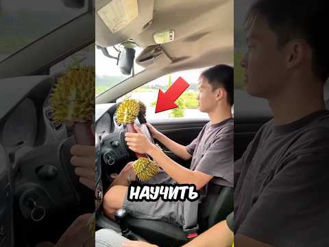 Он НАУЧИЛ СЫНА ВОДИТЬ с ПОМОЩЬЮ ДУРИАНА! 😂🚗