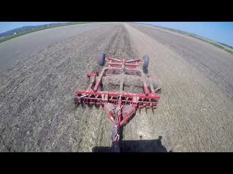 Búza tarló tárcsázás 2020 (MTZ 1221.5 + Pallada 3200)