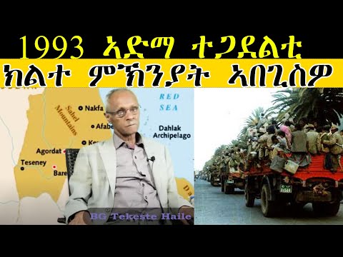 ERISAT 2: 1993 ኣድማ ተጋደልቲ ክልተ ምኽንያት  ኣበጊስዎ| 1ይ ክፋል| General Tekeste Haile