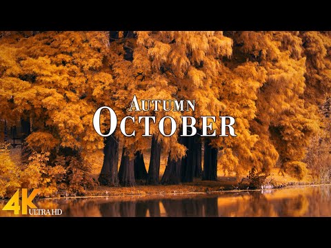 October Autumn 4K Ultra HD • Enchanting Autumn October, Scenic Relaxation Film with Calming Music.