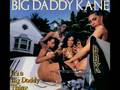 BIG DADDY KANE - WARM IT UP KANE 