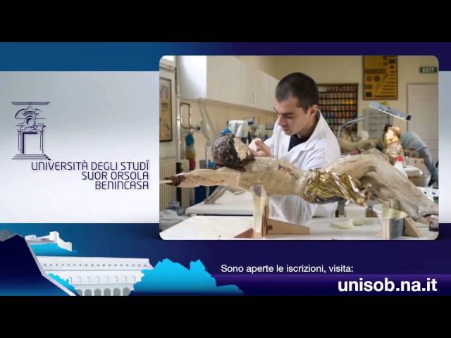 Suor Orsola Benincasa University of Naples video #2