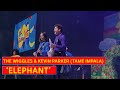 The Wiggles & Kevin Parker (Tame Impala) perform 'Elephant' | OFFICIAL LIVE ON TOUR