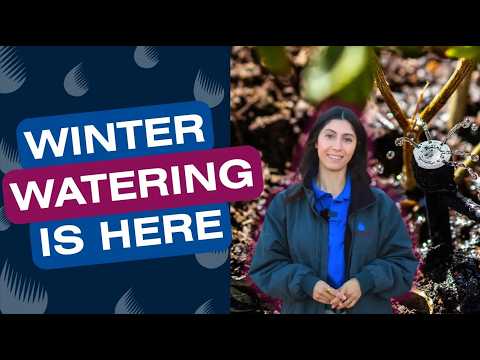 Winter Watering Restrictions are in Effect Nov. 1st!