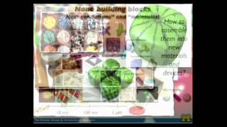 Transforming Nanoscience: Sharon Glotzer at TEDxUofM