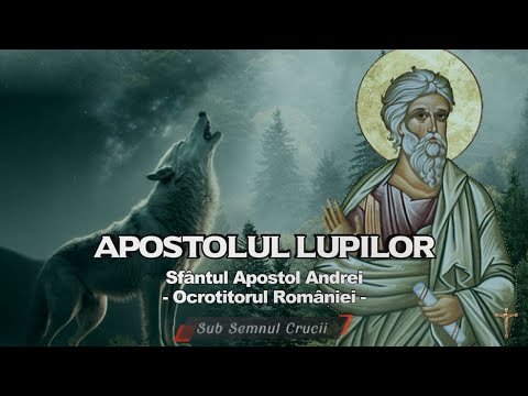 APOSTOLUL LUPILOR - Sf.  Apostol Andrei ocrotitorul Romaniei