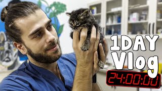 YAVRU KEDİ SALDIRISI! 😍 ( Klinikte 1 Gün VLOG! )