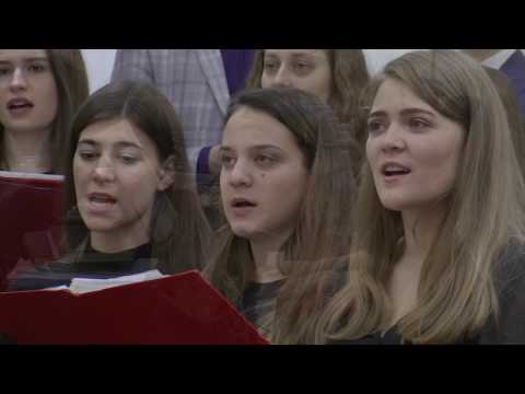 Amicus Timisoara - Doresc a Ta prezenta ( 4K )