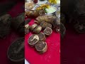 Gujji Food Porkcurry Mukbang Recipe Pork Foodie Porkbelly Indianfood Viralvideo