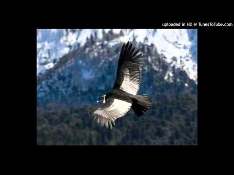 Today’s Tango Is… Rosamel – Carlos Di Sarli 11-12-1940