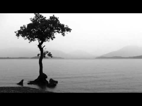 The Beetseekers - Snappiness (Original Mix)