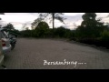 Elang VS Harimau