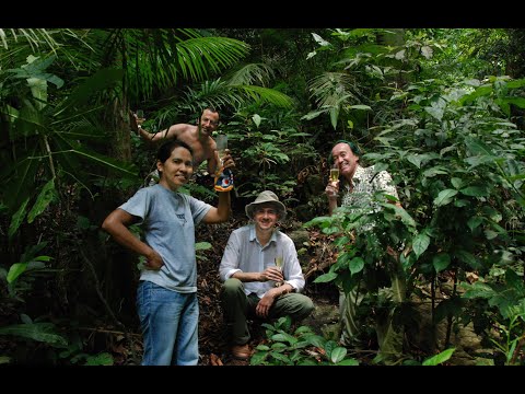 "BEGONIA BLANCII"  FIELD TRIP WITH PATRICK BLANC IN PHILIPPINES (PALAWAN)