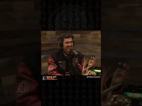 Mark normand can’t stop zinging! #comedy #standup #podcast