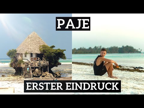 NORDEN oder SÜDEN SANSIBAR'S? Wohin solltest DU reisen? Paje I Michamwi
