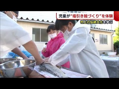 ¿Existe una cultura exclusiva de una ciudad castillo? ¡Los niños experimentan cómo hacer “salmón salado”! Conozca las tradiciones de la ciudad natal de Murakami [Niigata] (21/11/08 19:00)