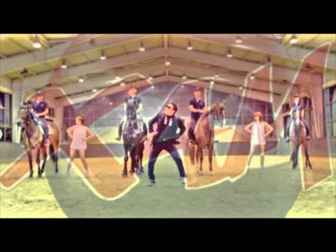 PSY vs Benny Benassi, Nicki Minaj and Kelis - Gangnam Satisfaction (mashup)