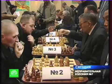 НТВ. Шахматный турнир в ИК-7