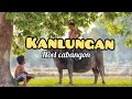 Kanlungan (Pana-panahon) - Noel Cabangon with lyrics