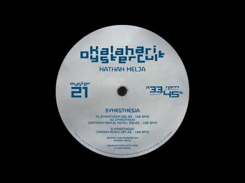 Nathan Melja - Synesthesia (Pariah Remix)