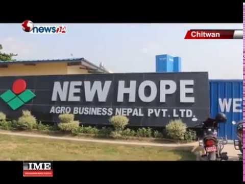 दानामा चिसोपनाको मात्रा आवश्यकता भन्दा बढि प्रयोग हुँदै - NEWS24 TV