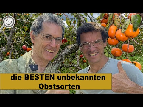 SELTENE & UNBEKANNTE Obstarten für DEINEN Garten!  Besuch beim OBST-EXPERTEN