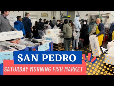 Saturday Morning Fish Market San Pedro California, Saturday May 7, 2022
