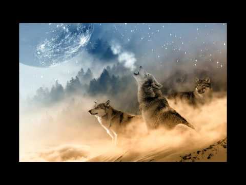 Unlocking  The  Last  Days  2  ( Back  To  The  End !!  ) Jacob  Prasch