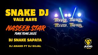 Download lagu Snake Dj Vale Aave ( Naseeb Star Ture 2025 ) Dj Snake Ft Dj Naynesh - Dj Sujal Amalsadi  mp3
