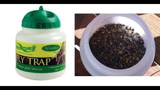Rescue Reusable Fly Trap