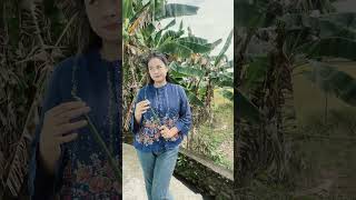 Download lagu Children with good voices can become idol singers #shorts #funny #trending mp3 Download lagu Children with good voices can become idol singers #shorts #funny #trending mp3