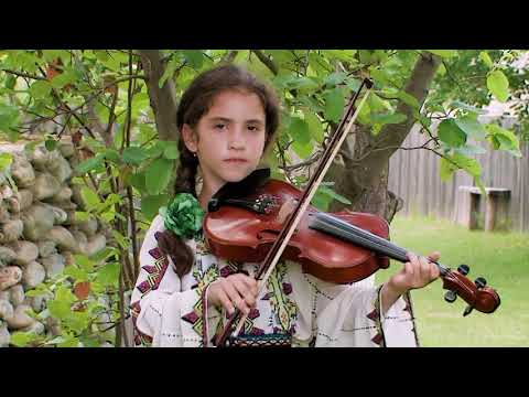 Tania Galbenu - Ungurica