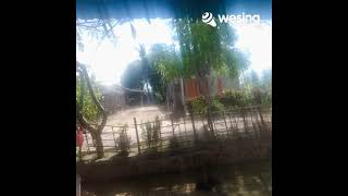 Download lagu Langit Pun Berduka mp3 Download lagu Langit Pun Berduka mp3