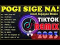 POGI SIGE NA! - Tiktok Viral Remix 💥 NEW TIKTOK IN PH MASHUP DANCE REMIX 💥 Jonel Sagayno Remix