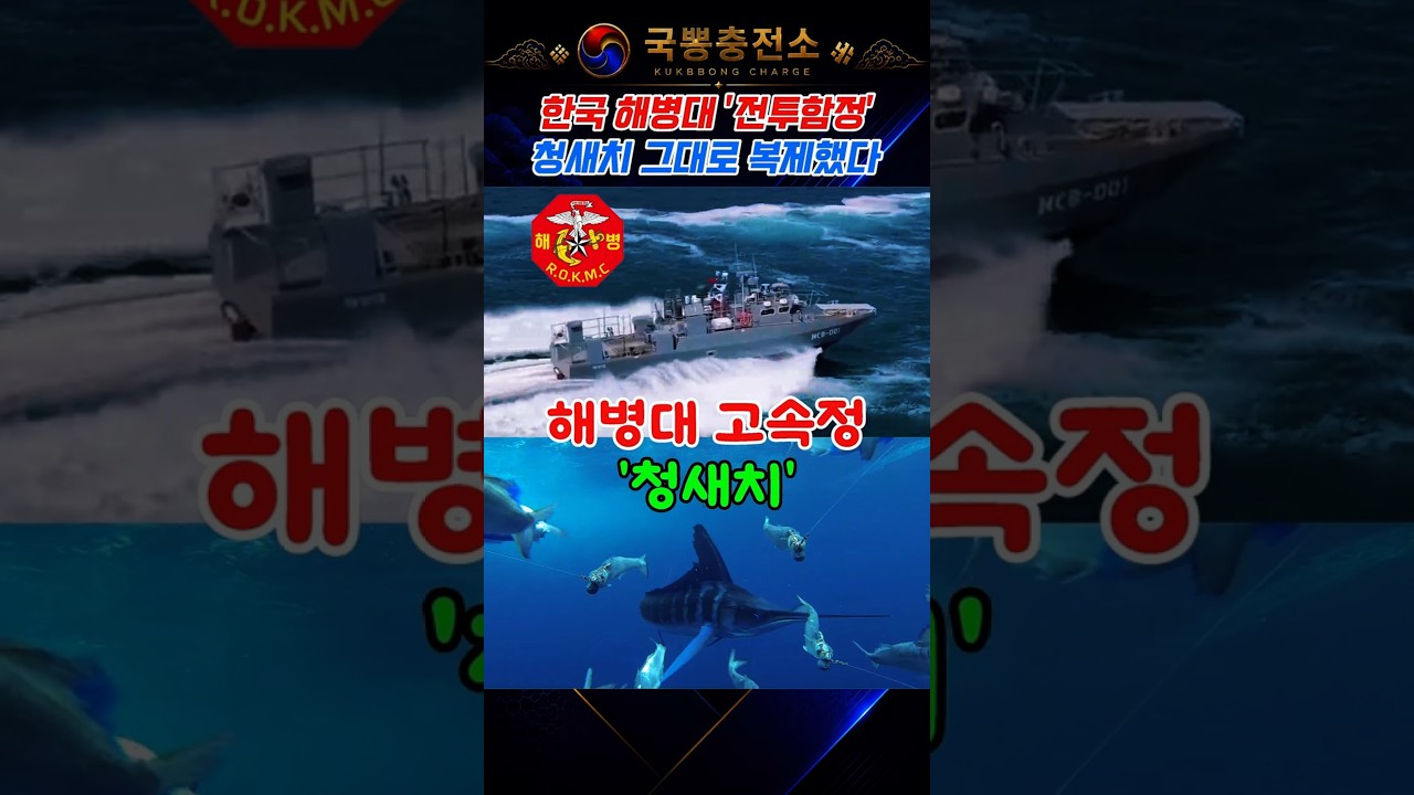 해병대 고속정 청새치의 역할과 특징