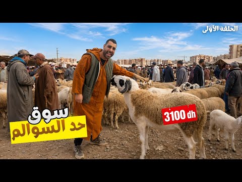 مباشر اليوم من سوق حد السوالم 🇲🇦🇲🇦نواحي الدار البيضاء مع اثمنة 🐏حولي عيد الأضحى 26/4/2026