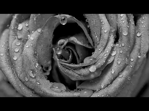 Ann Marie,Tink-Fed Up