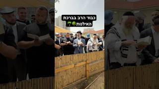 ברכת האילנות | הרב חיים אלוש שליט״א.         #פסח #יהדות #foryou #viral #viralvideo