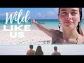 WILD LIKE US Book Trailer (Like Us Book #8)