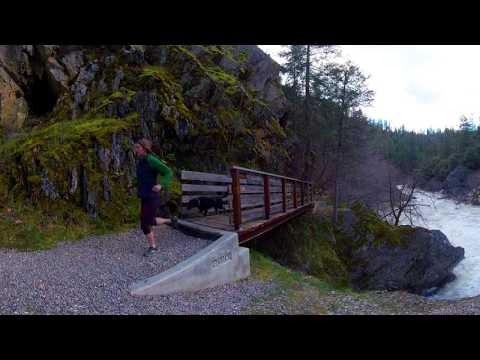 Trail Running Near Quincy CA | A Lost Sierra Experience