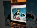 Elmo World Babies Dogs And More Birthday Cakes Quiz