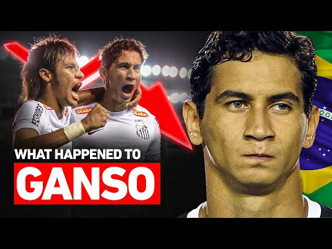 What happened to GANSO?