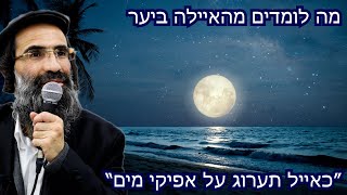 הרב חיים אלוש שליט"א || כאייל תערוג על אפיקי מים