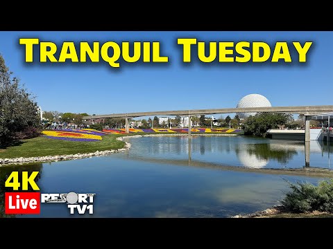 🔴4K Live: Tranquil Tuesday at Epcot - Flower & Garden Festival 2025 - Walt Disney World Live Stream