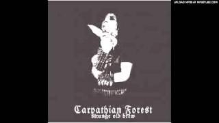 Carpathian Forest - Bloodcleansing