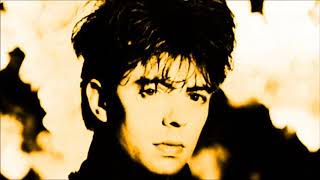 Echo &amp; The Bunnymen - My Kingdom (Peel Session)